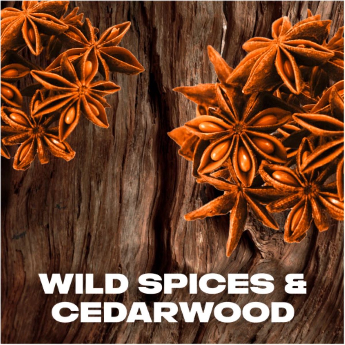 Axe Wild Spice Deodorant Spray 150 ML