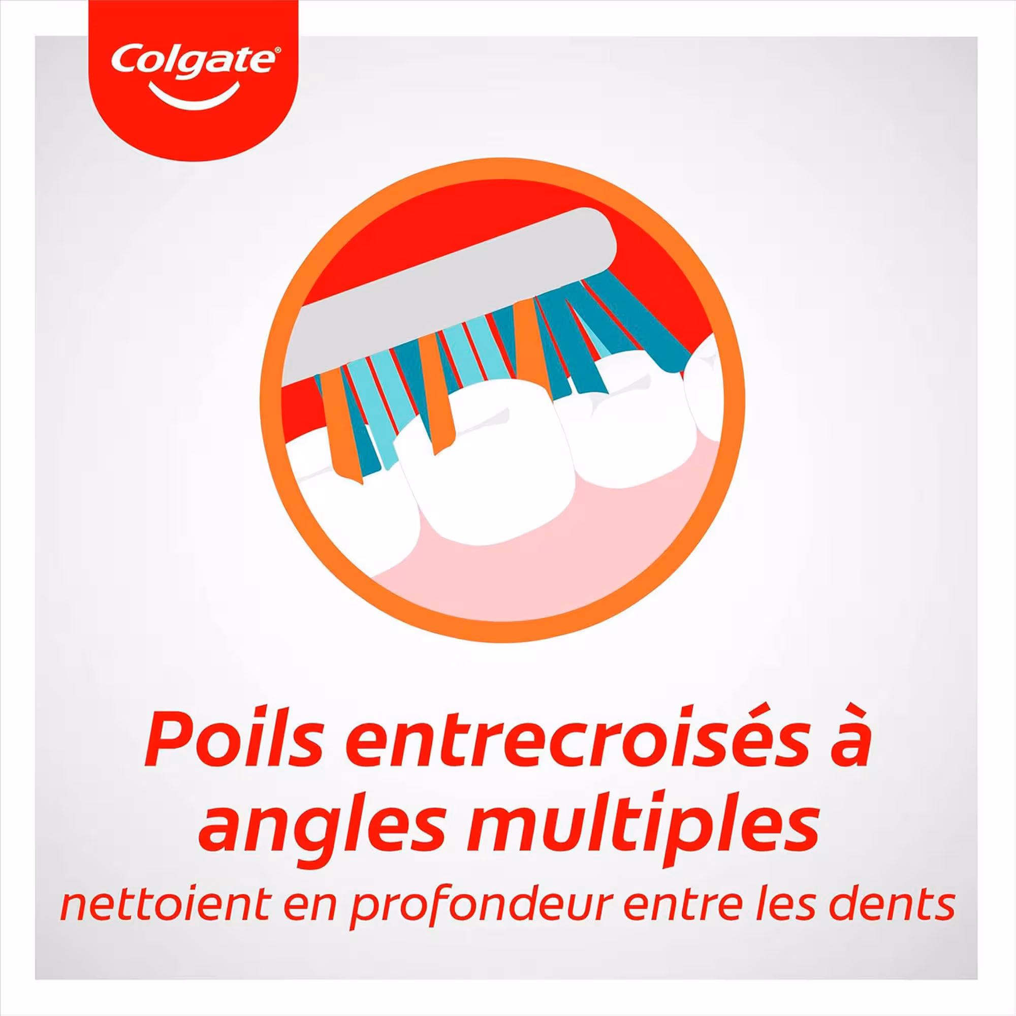 Colgate Tandenborstel	Zig Zag Medium