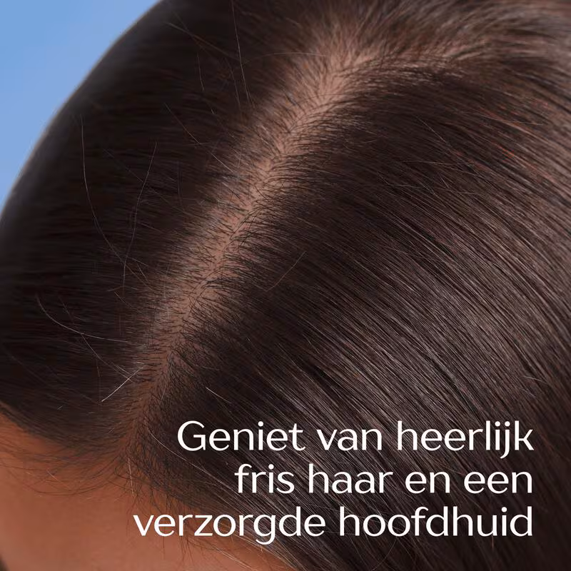 Andrelon Shampoo 250 ml.(Nieuw)	Anti-Roos