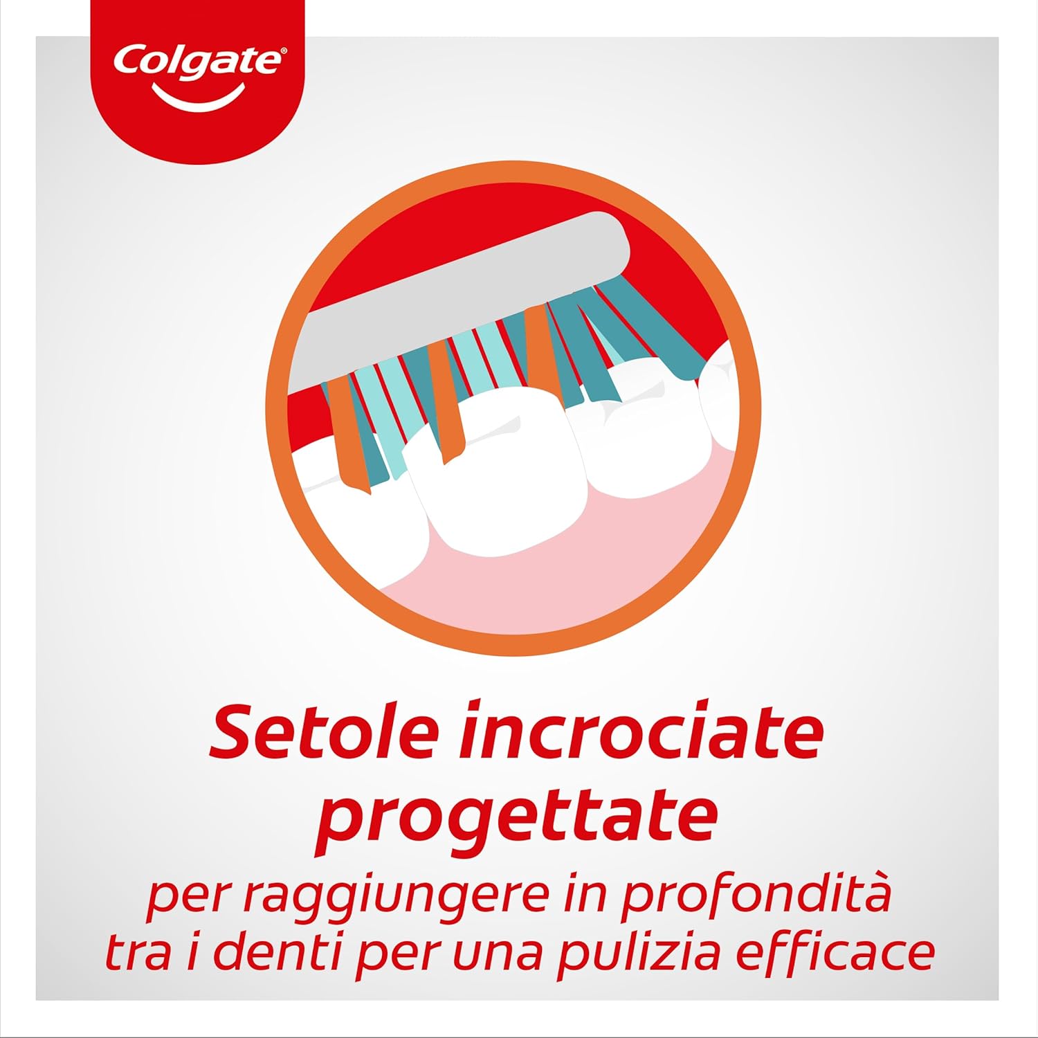 Colgate Tandenborstel	Zig Zag Soft