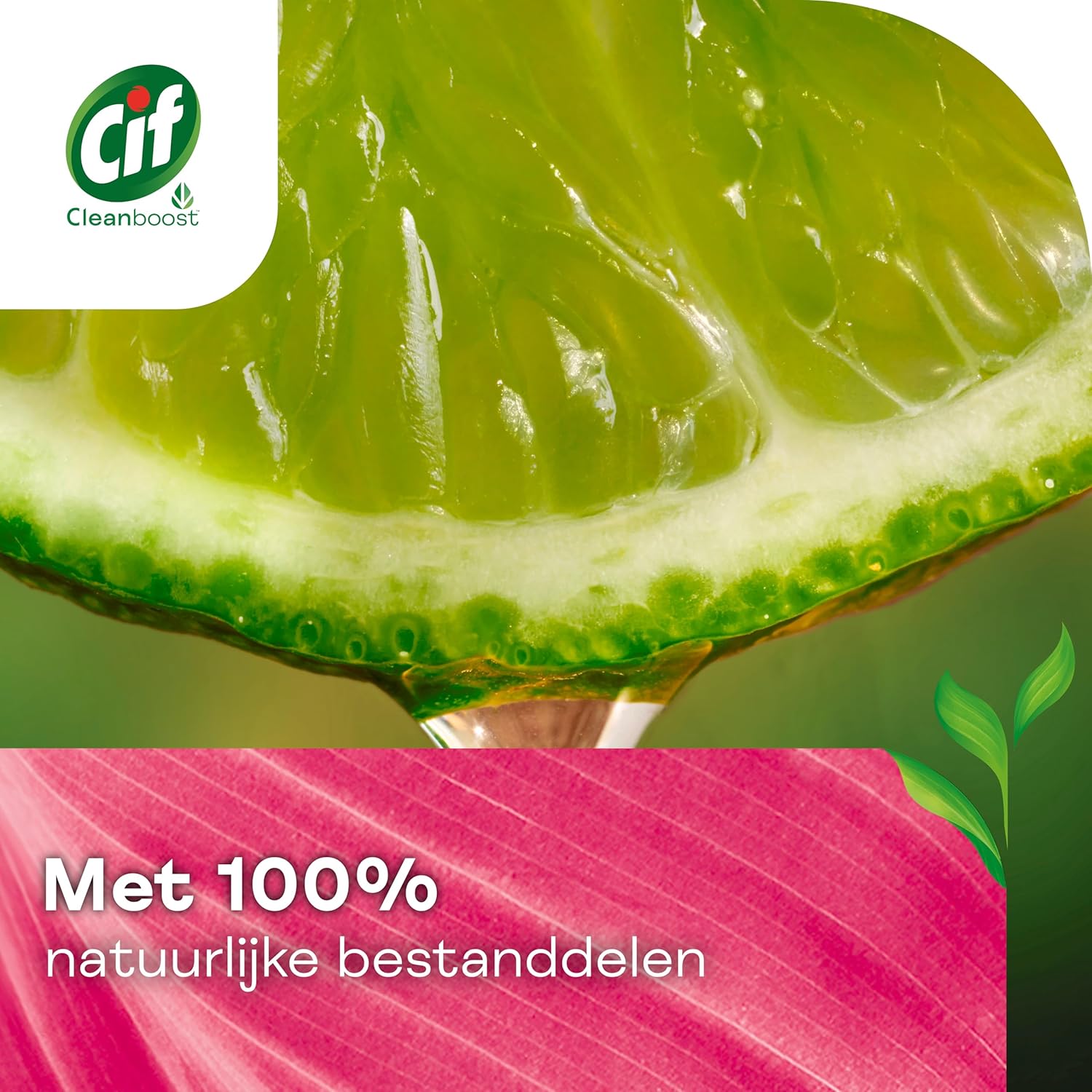 CIF Cream 500 ml.	Pink