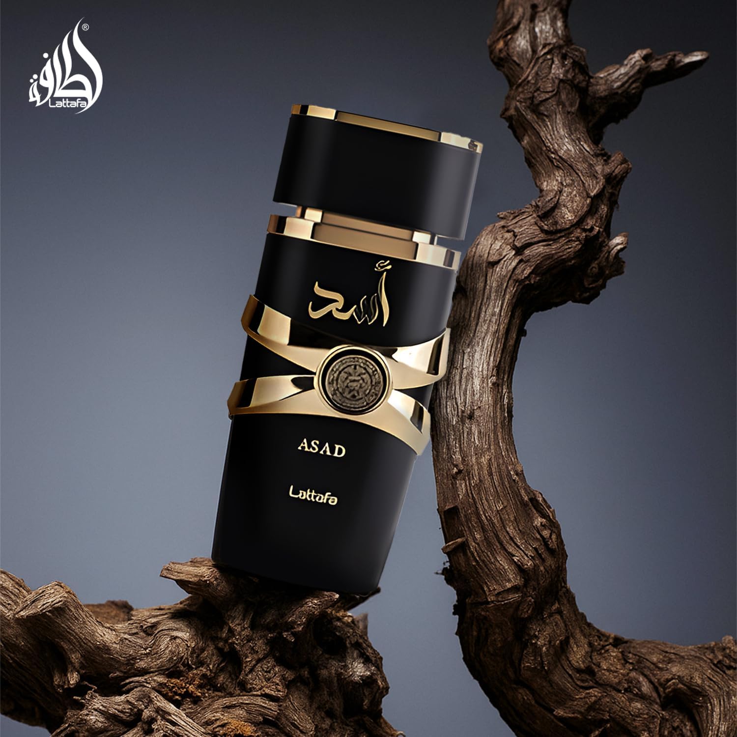 Lattafa Asad Eau de Parfum 100 ml