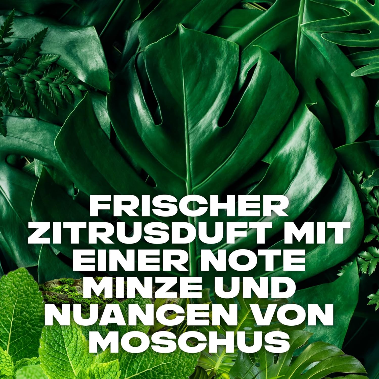 AXE Shower 250 ml.	Wild Mojito & Cedarwood