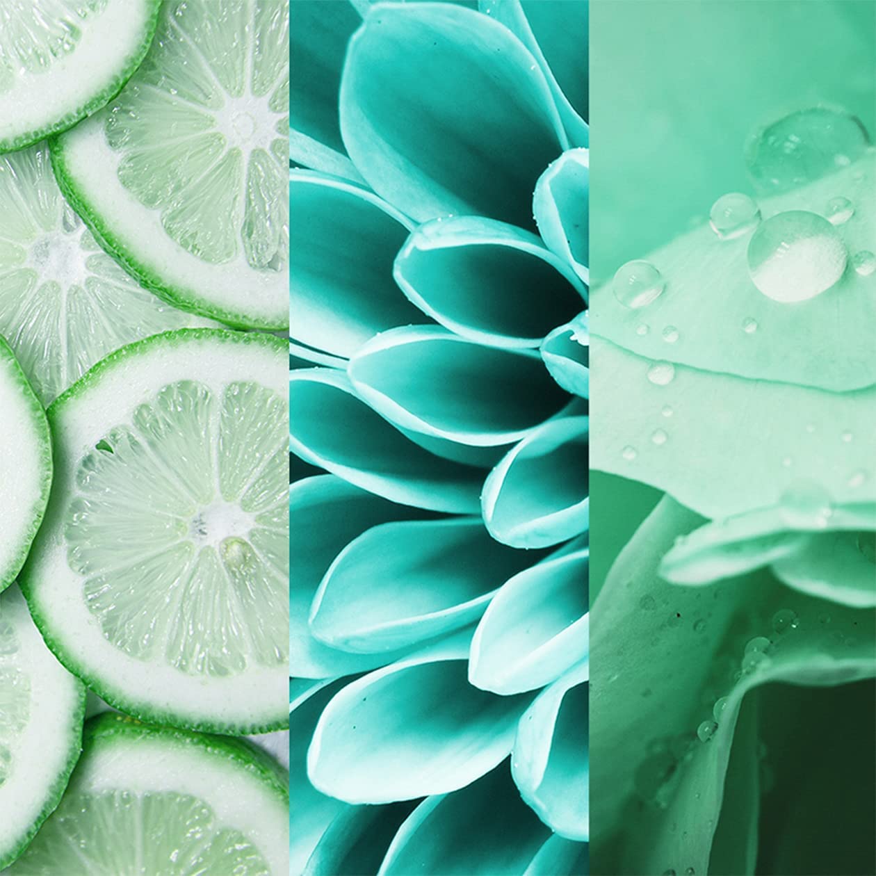 8x4 Deospray 150 ml.	Fresh Lime