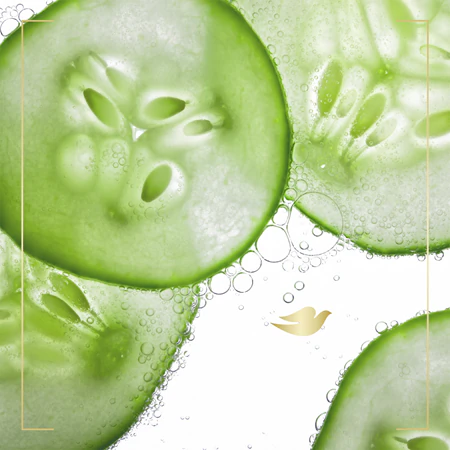 Dove Refreshing Shower Gel With Cucumber And Green Tea 450 Ml