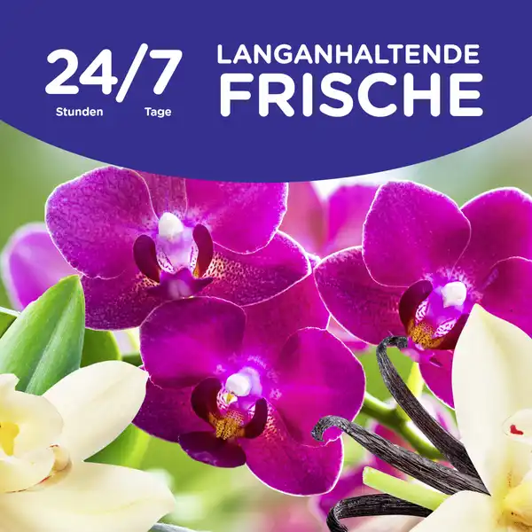 Softlan Wasverzachter 1l Vanille & Orchidee