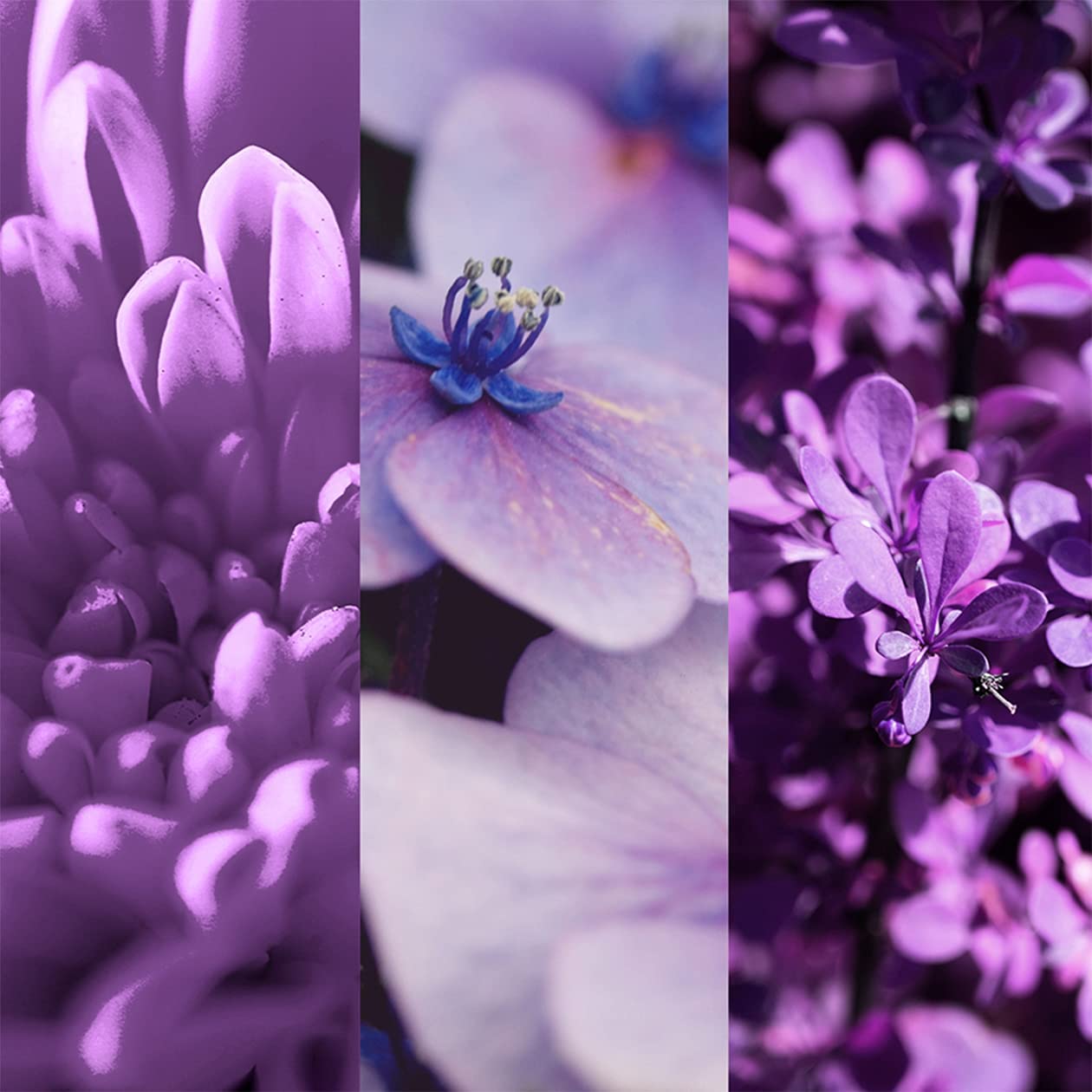 8x4 Deospray 150 ml.	Vibrant Flower