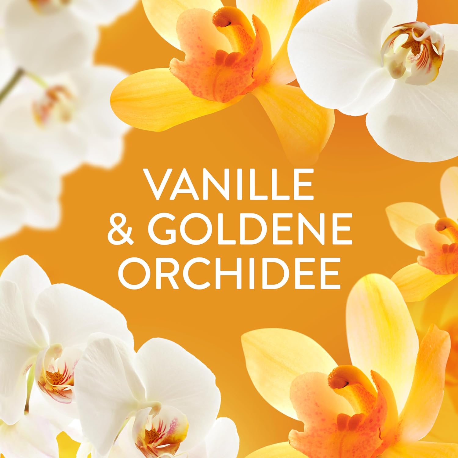 Lenor Geurbooster 235 gr.	Amber & Orchidee